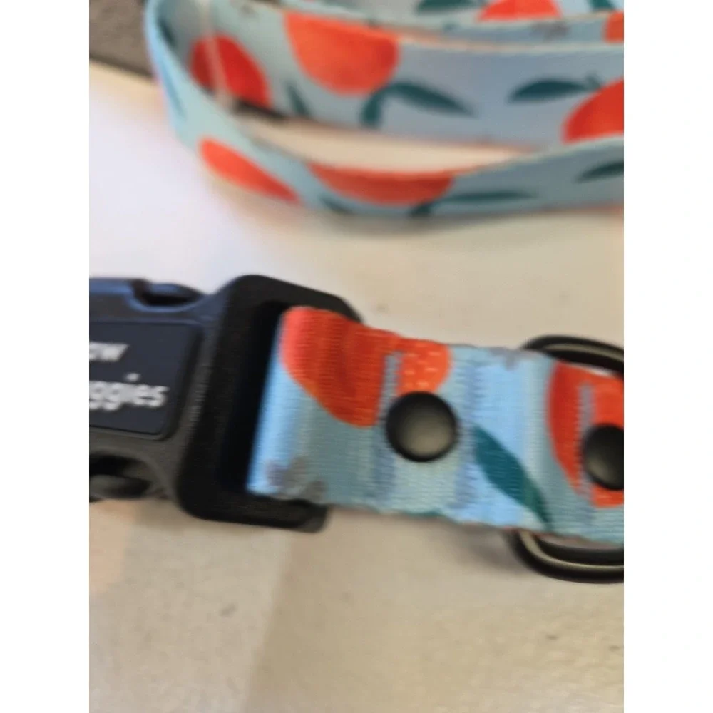 Paw Huggies Dog Collar & Leash Set Orange Fruit Print‎ Adjustable Blue NWT